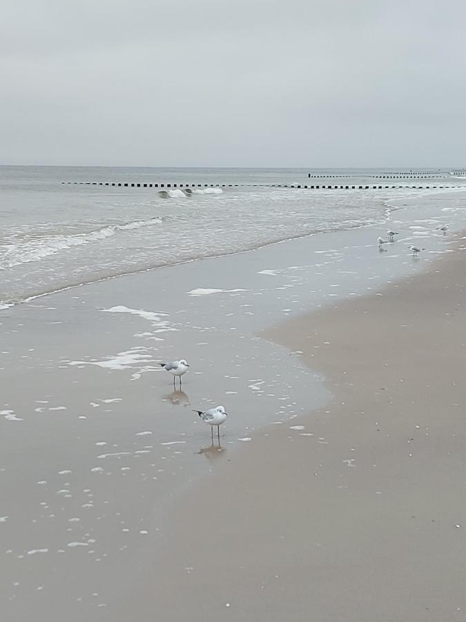 Achterwasser Blick Uckeritz Kültér fotó